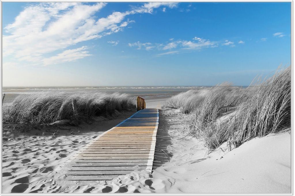Wallario Wandbild Auf dem Holzweg zum Strand in schwarz-weiß Optik, Größe: 61 x 91,50 cm, Poster mit weißem Aluminiumrahmen