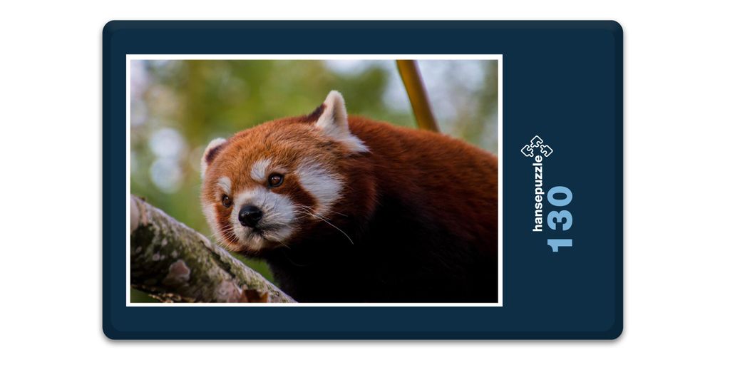 hansepuzzle 16834 - Roter Panda Puzzle, 130 Teile, Tierwelt, 28,7 x 20,0cm mit hochwertiger Aufbewahrung, Kartonbox und wiederverschließbarem Beutel