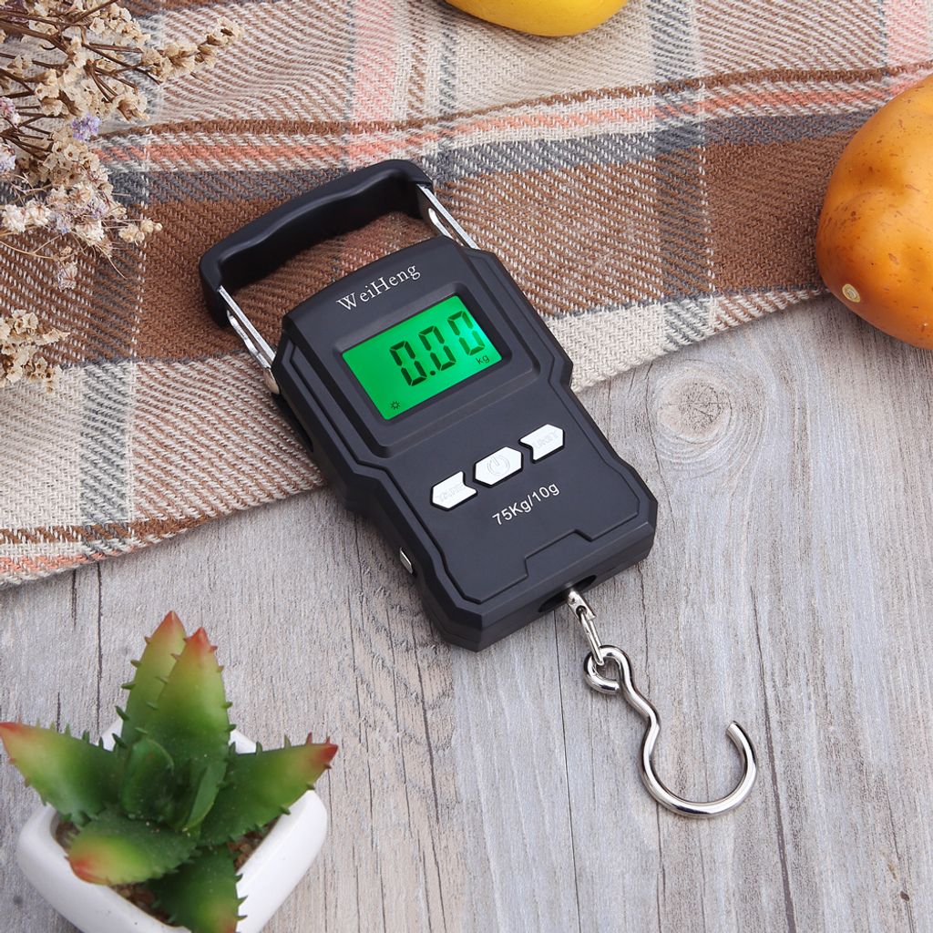 75Kg/10g Elektronische Waage mit Hintergrundbeleuchtung Tragbare digitale Fischerei-Posthakenwaage mit Maßband
