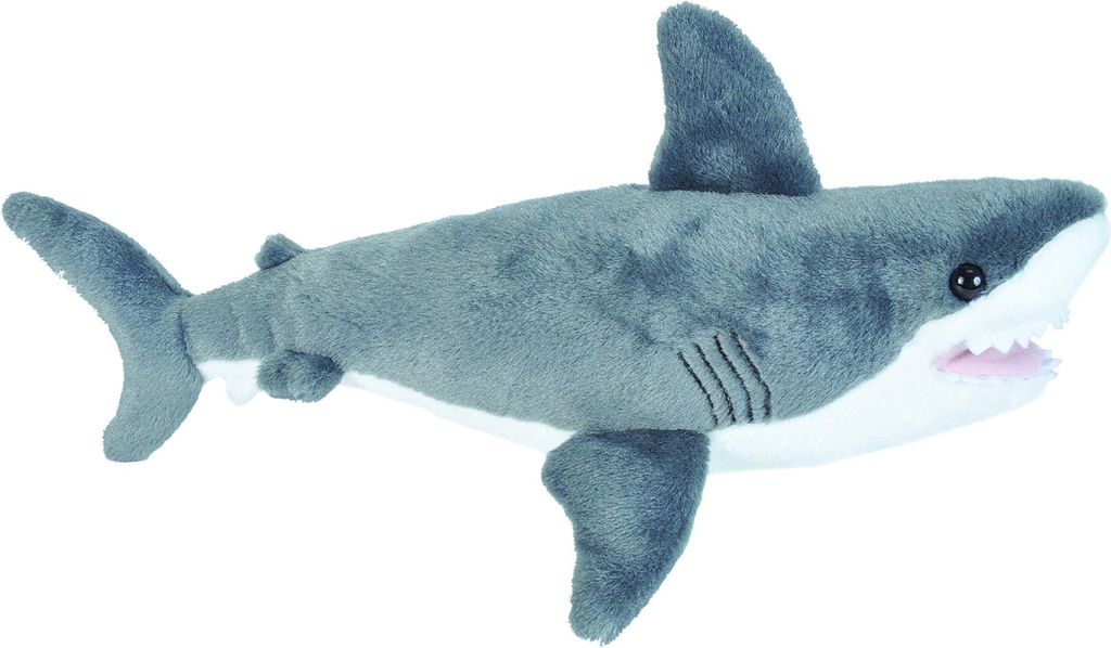 A plush toy shark against a white background.