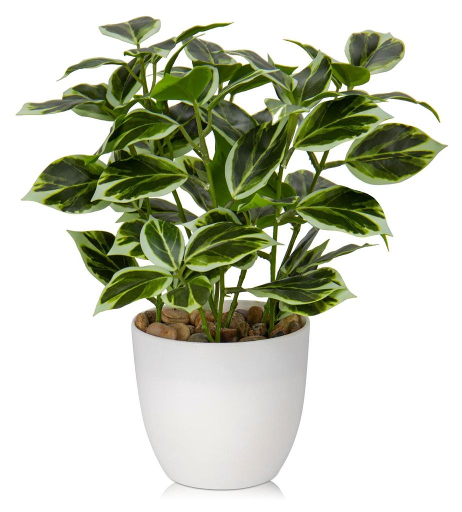 Künstliche Pflanze, sieht täuschend echt aus. Künstlicher Ficus im Topf. Kleine Dekopflanze fürs Fensterbrett, Wohnzimmer oder Badezimmer.