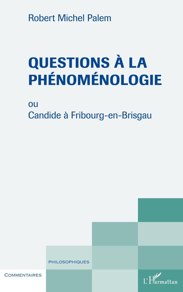 Questions à la phénoménologie
