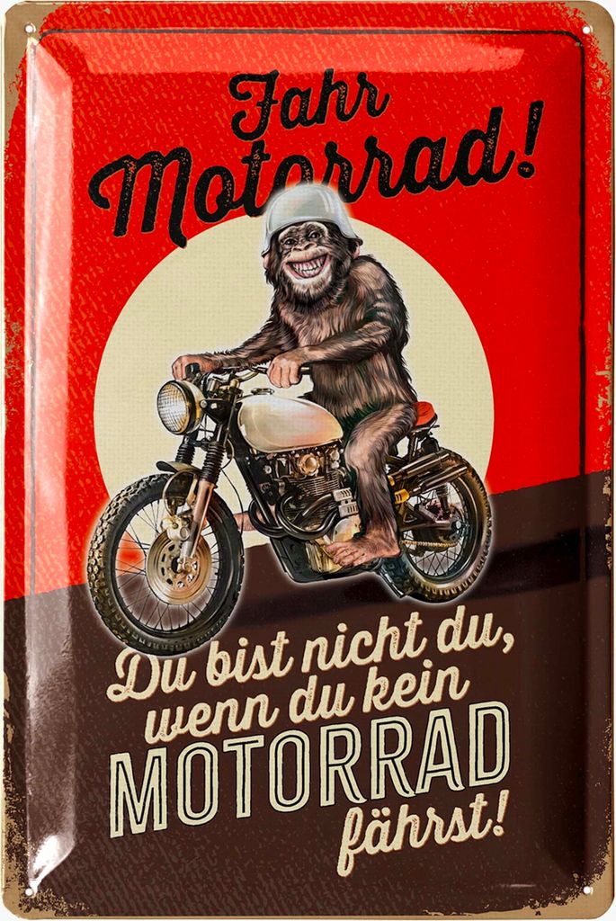 LANOLU Retro Blechschild, DU BIST NICHT DU Motorrad Geschenke für Männer, Geschenke für Motorradfahrer Biker Geschenke Größe 20x30cm