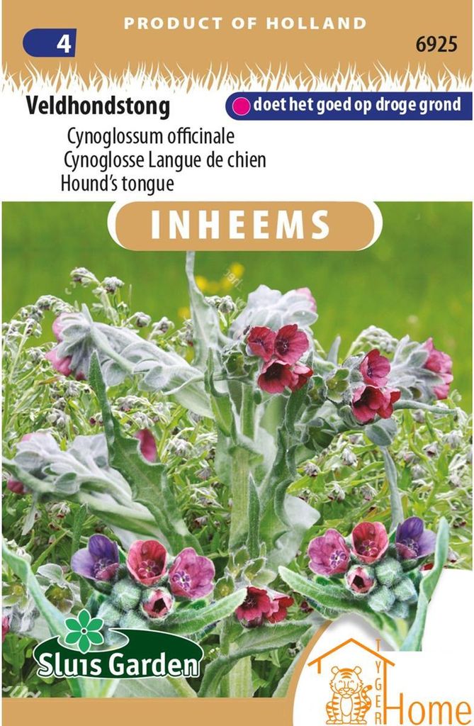 Field Dog Tongue Seeds - Heimische Pflanze für Artenvielfalt und bunte Gärten - Attraktiv für Bienen und Schmetterlinge - Cynoglossum officinale