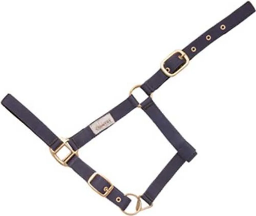 Hispano Hipica Capezza Doppio Nylon Blu Full Professional - Acquista Online