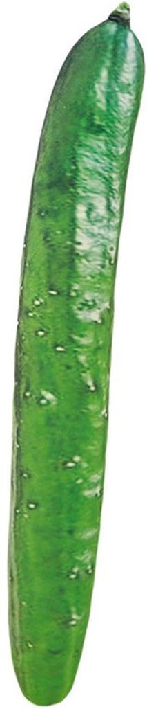 Lange komkommer knuffel aus Gummimaterial in Grün für Kinder als Spielzeug und Geschenk