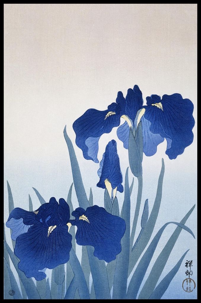 Plakat 53x81cm Iris Blumen, Japanische Koson Vintage für das Wohnzimmer