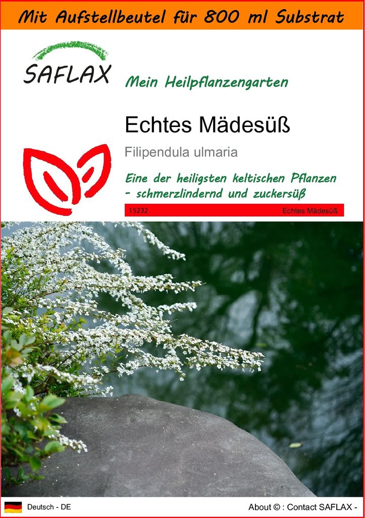 SAFLAX - Garden in the Bag - Heilpflanzen - Echtes Mädesüß - 500 Samen - Mit Anzuchtsubstrat im praktischen, selbst aufstellenden Beutel - Filip...
