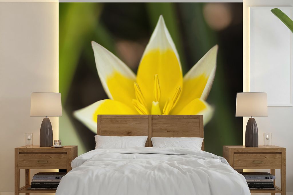 MuchoWow Fototapete für Wohnzimmer oder Schlafzimmer Wandtapete Vinyl Motivtapete Blume - Garten - Gelb - 300x300 cm - Wanddekoration