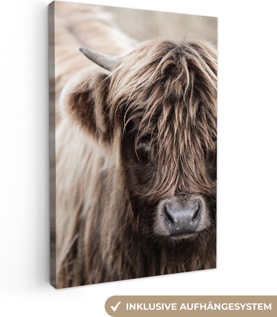 MuchoWow® - Leinwandbilder - Schottischer Highlander - Produktbild 