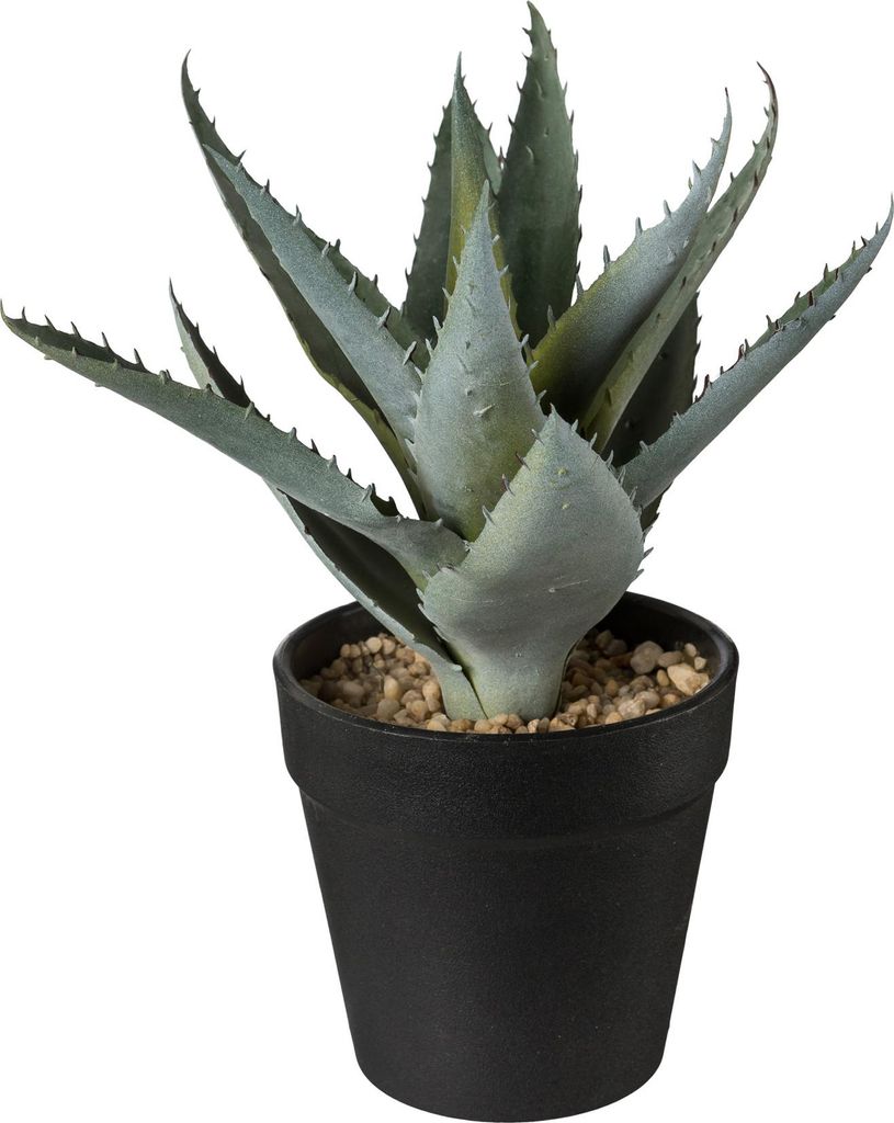 Kunstpflanze Aloe im Topf Höhe: 20 cm grün