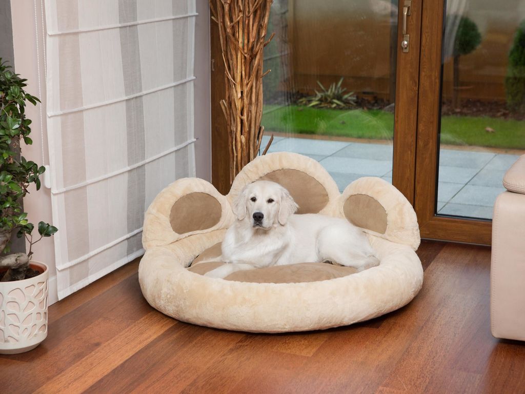 hundebett cord grn Maximaler Komfort fr deinen Vierbeiner  mit dem LUMALAND Hundebett!