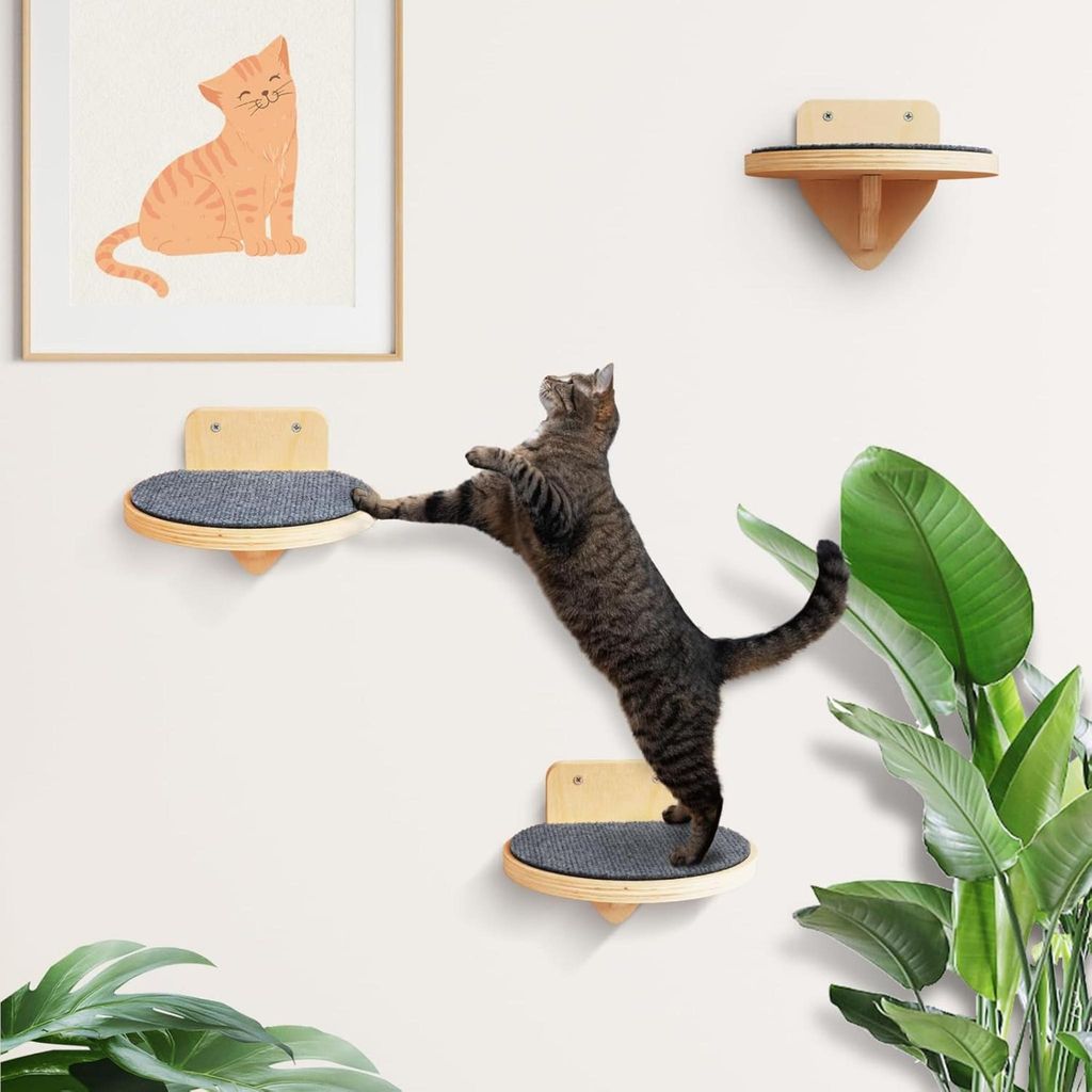 Kletterwand Katzen aus Birkenholz | 3er-Set Katzentreppen mit Kratzflächen | Wandmontage Katzenleiter | Kletternetz für Katzen