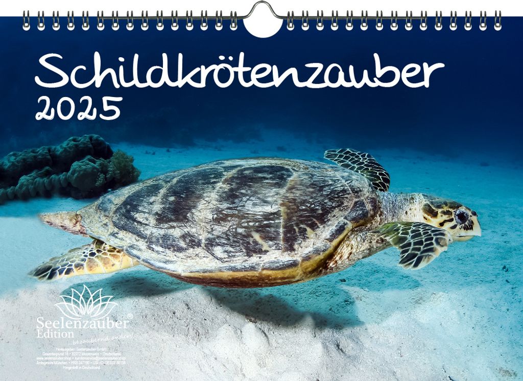 Schildkrötenzauber DIN A4 Kalender für 2025 Schildkröten - Seelenzauber