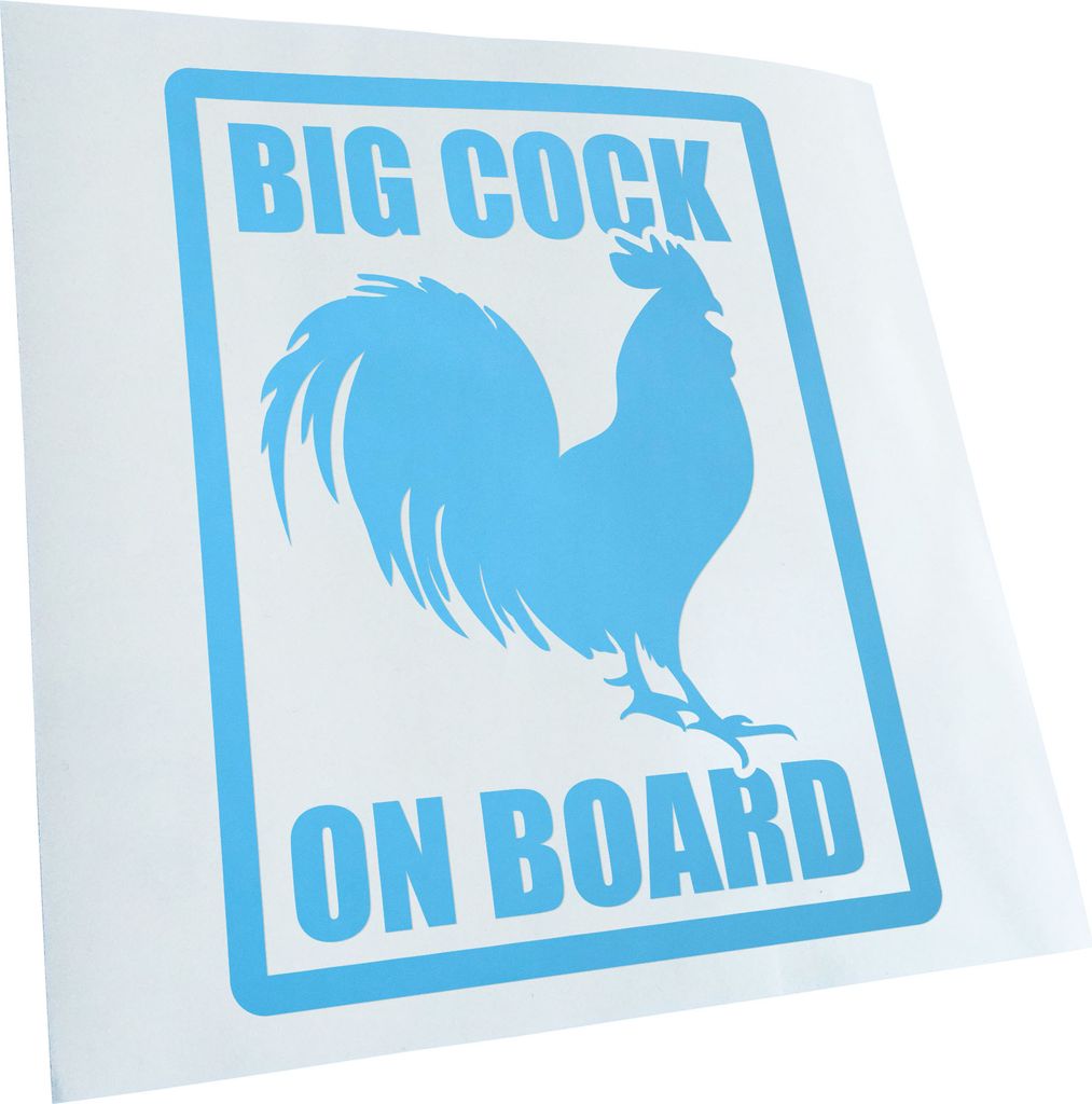 Kiwistar - Autoaufkleber - Big Cock on board - Lichtblau - 60x46cm - Aufkleber für Auto, Laptop, Fahrrad, LKW, Motorrad mehrfarbig JDM Decal Racing