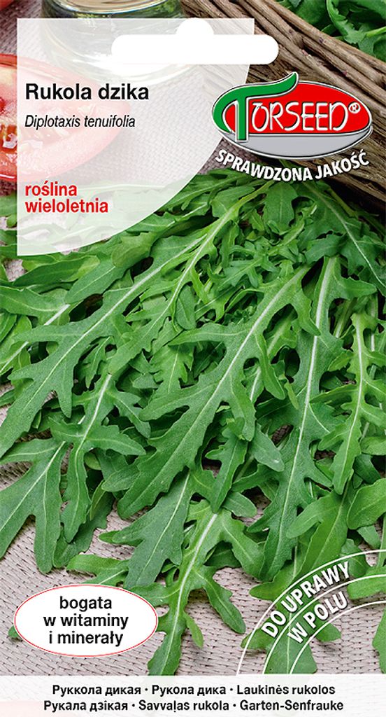 Samen der Wilden Rauke Diplotaxis tenuifolia 0,5 g - Produktbild 