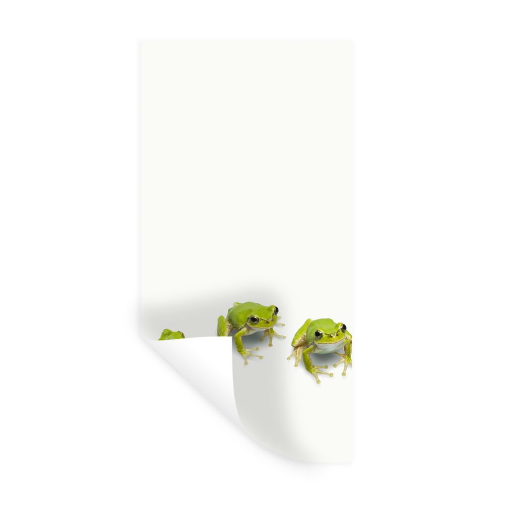 MuchoWow Wandtattoo Wandsticker Wandaufkleber Frosch - Tiere - Grün 80x160 cm Selbstklebend und Repositionierbar - Sticker - Dekorfolie