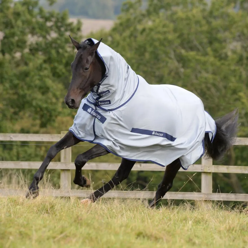 Bucas Buzz-Off & Neck: La Migliore Coperta Anti-Mosche per Cavalli