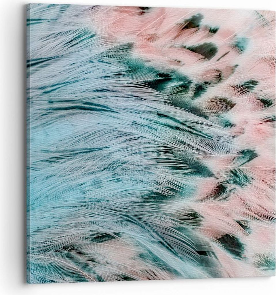 Bild auf Leinwand - Leinwandbild - Federn Federn Vogel - 70x70cm - Wand Bild - Wanddeko - Wandbilder - Leinwanddruck - Bilder - Kunstdruck - Wandde...