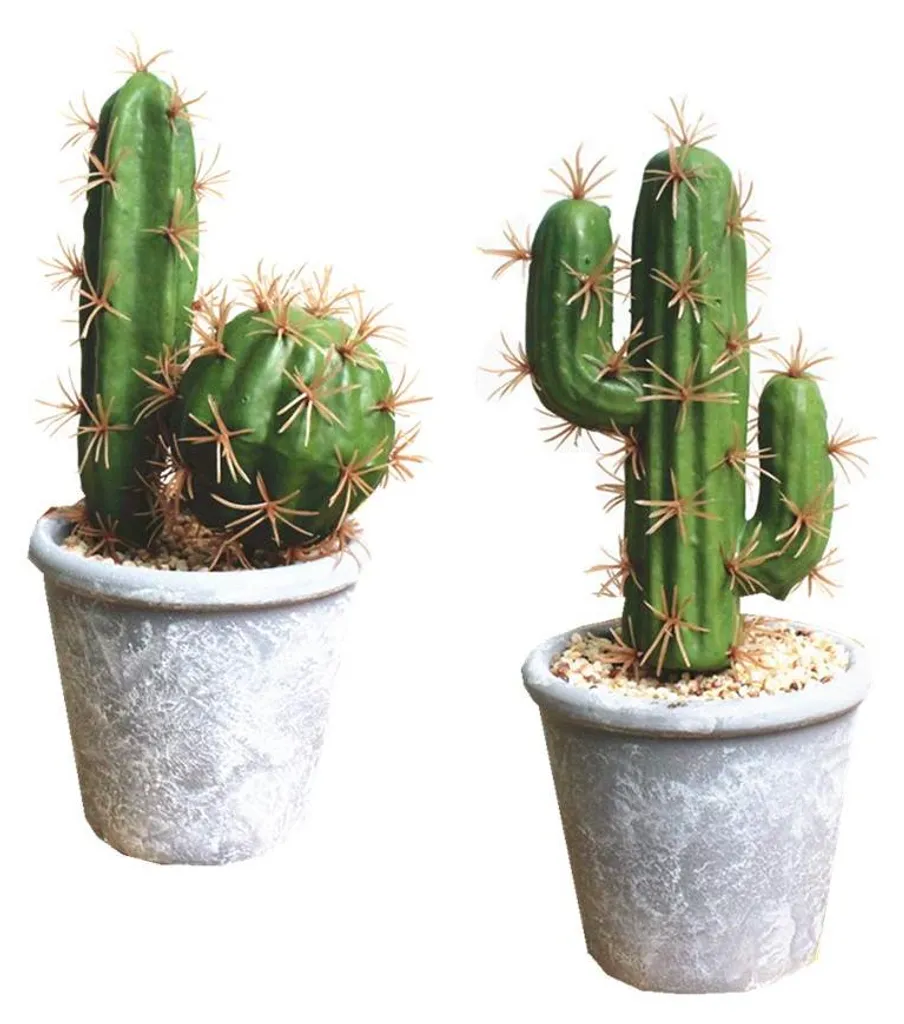 Plantes Succulentes Artificielles en Pot - Mini Cactus Déco Intérieur