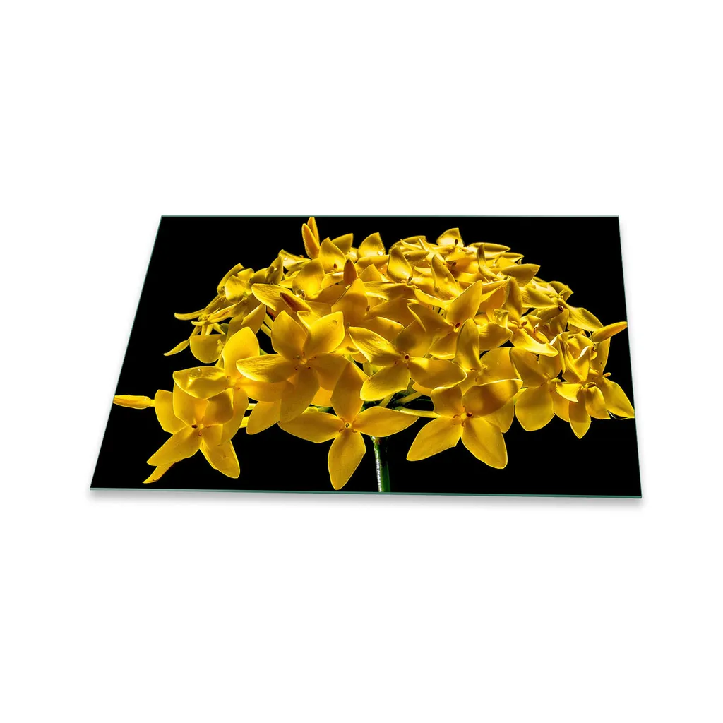 Copertura Piano Cottura 80x52 Vetro Temperato Fiori Gialli - Top Qualità