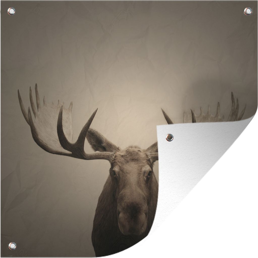 MuchoWow 50x50 cm Outdoor-Poster Gartendeko Sichtschutz Garten Poster für den Garten Ein Elch auf grauem Hintergrund