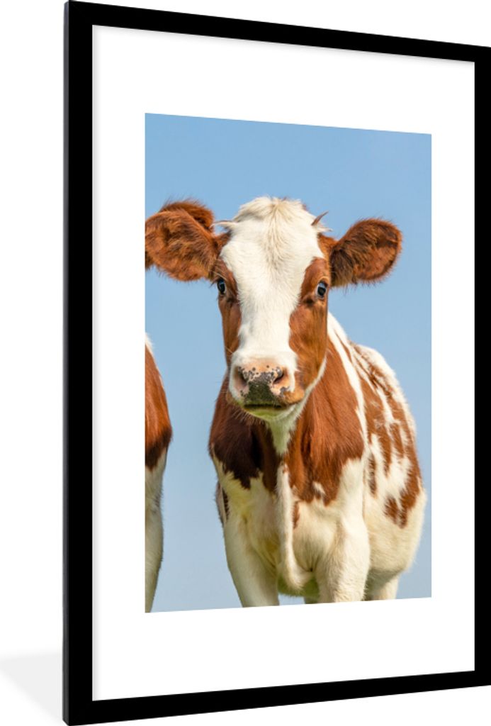 MuchoWow Gerahmtes Poster Kühe - Himmel - Tiere - Bauernhof - Porträt 60x90 cm - Poster mit Schwarzem Bilderrahmen Wandposter Rahmen Foto Bilde...