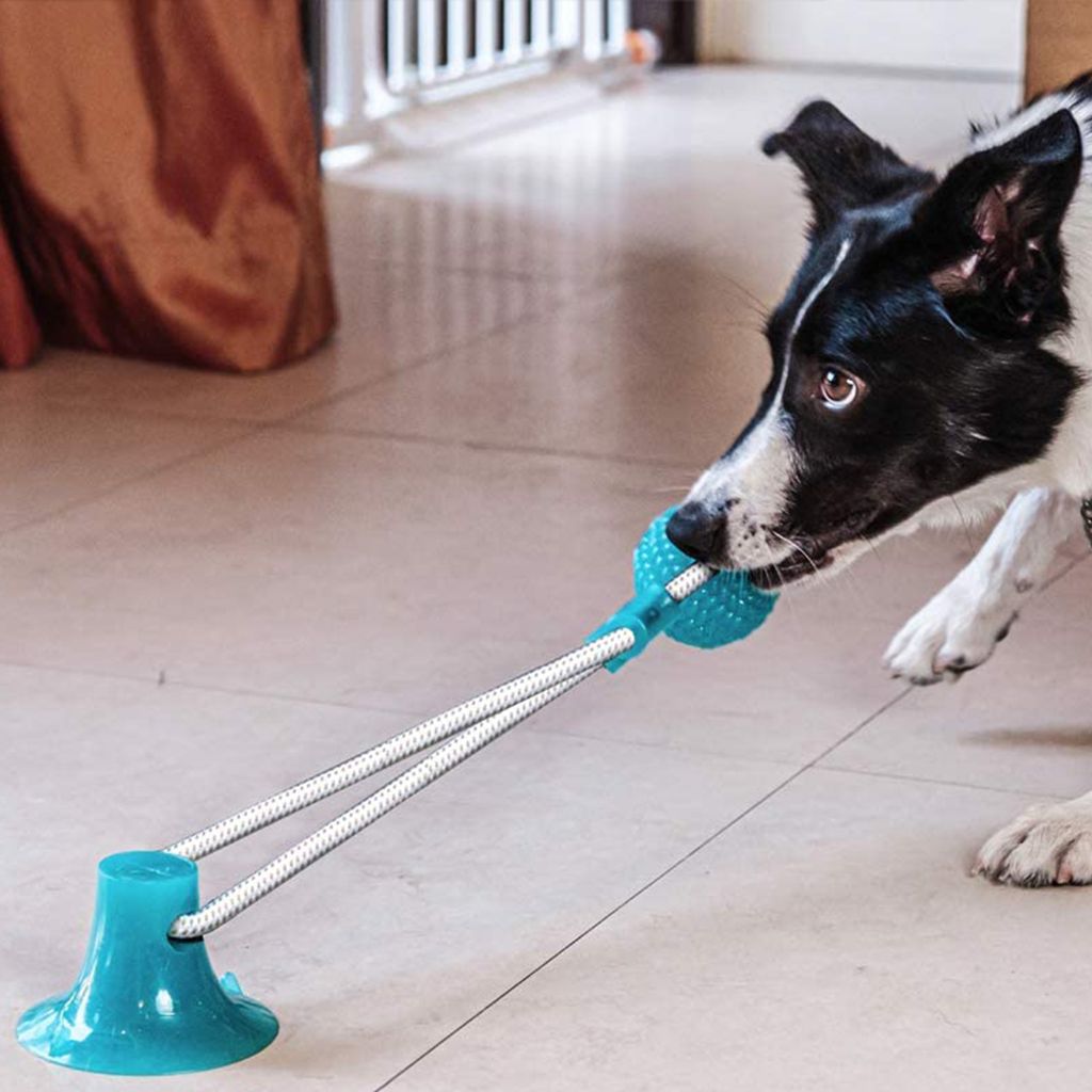Hundespielzeug Mit Saugnapf – Kauspaß Für Alle Hunde, Leicht Zu Reinigen