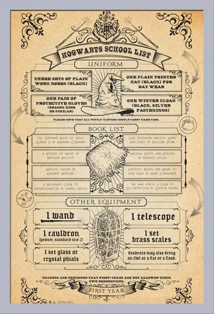 Set Poster Harry Potter Lista Hogwarts + Cornice Removibile Argento