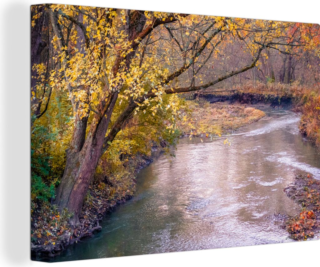 OneMillionCanvasses - Leinwandbilder - 140x90 cm, Fluss durch herbstlichen Wald in Illinois, Wandbilder Kunstdruck Wanddekoration