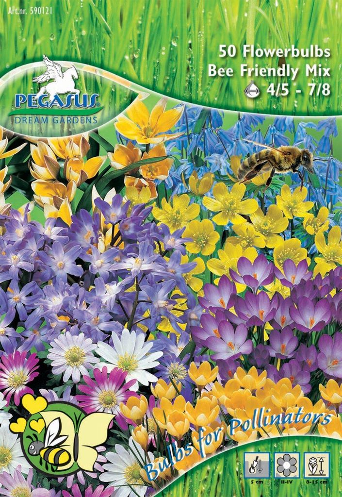 Pegasus Aktion Bienenfutterquelle, 50 Stück, Herbstblumenzwiebeln