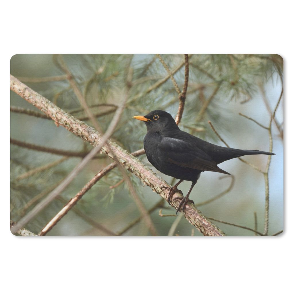 MuchoWow Mauspad Mousepad Vogel - Amsel - Zweige - Tiere 27x18 cm - Mousepads - Maus Mat - Pad - Mausunterlage - Büroartikel - Desk Matten