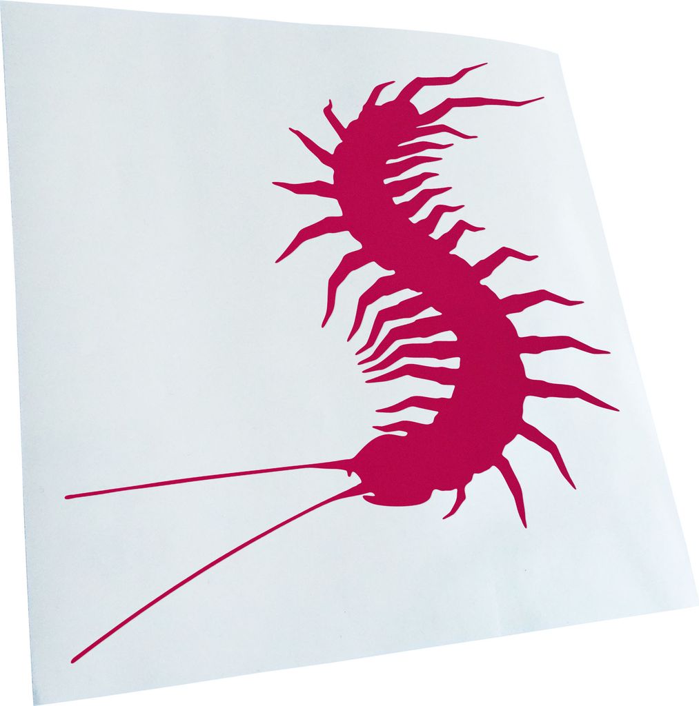 hauptsachebeklebt Kiwistar - Autoaufkleber - Hundertfüsser Heckscheibe - Aufkleber für Auto Kfz Fahrrad, LKW, Truck Mofa