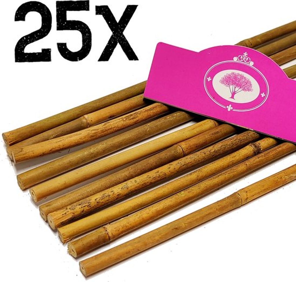 Set de 25x baguettes de bambou - environ 120 cm - épaisseur Image du produit 