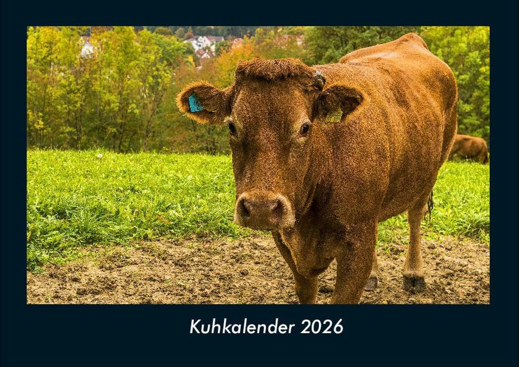 Kuhkalender 2026 Fotokalender - Querformat DIN A4, Monatskalender mit Bild-Motiven von Haustieren, Bauernhof, wilden Tieren und Raubtieren