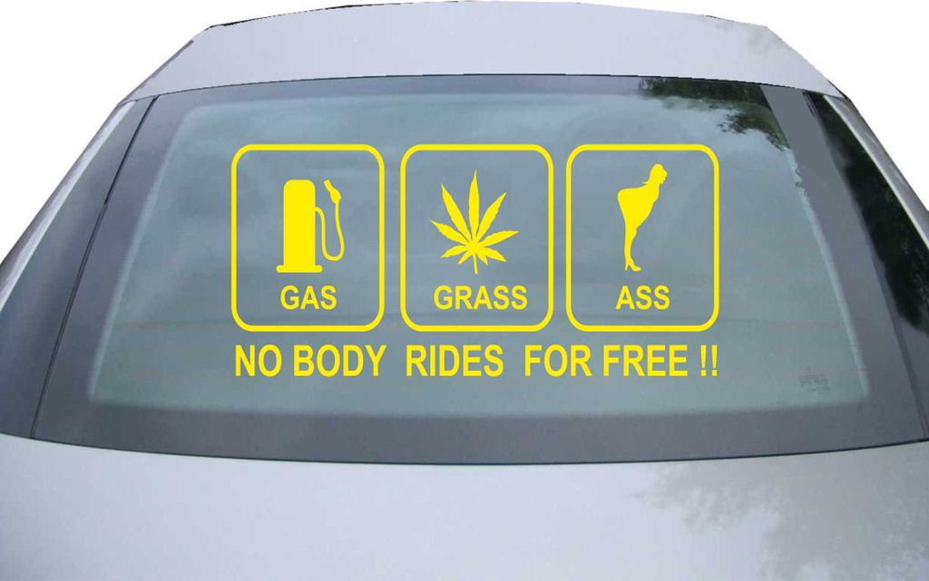 Indigos UG - Aufkleber Heckscheibe & Motorklappe DE6093 - gelb - 600x285 mm - no body rides for free!! - Auto Scheiben Fenster Heckklappe Tuning Ra...
