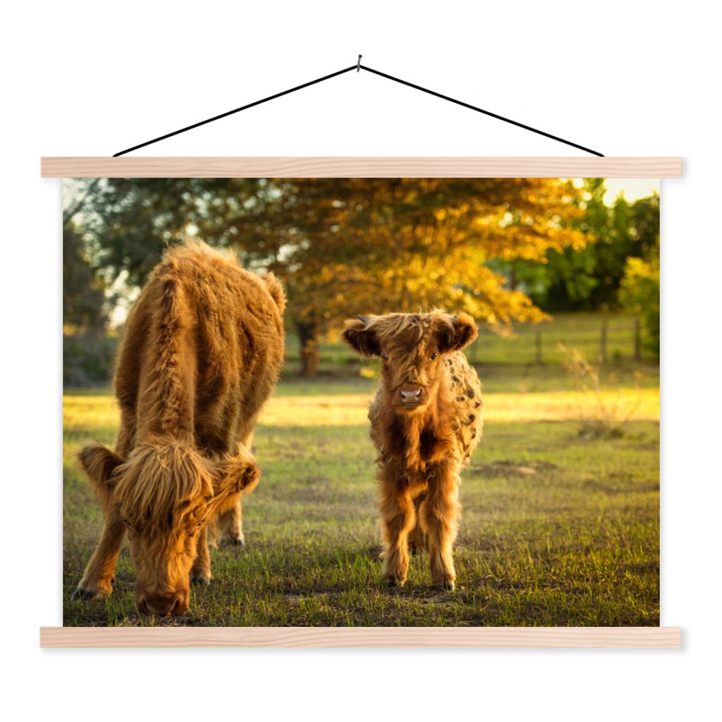 MuchoWow Textilposter Schottischer Highlander - Kalb - Herbst 60x45 cm mit holzfarbenen Rahmen - Bild