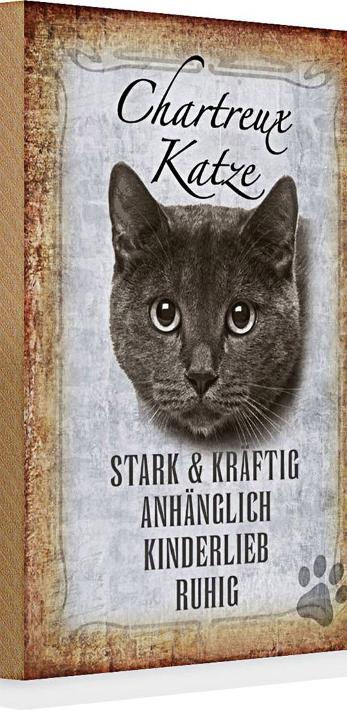 Holzschild Spruch 20x30cm Chartreux Katze stark
