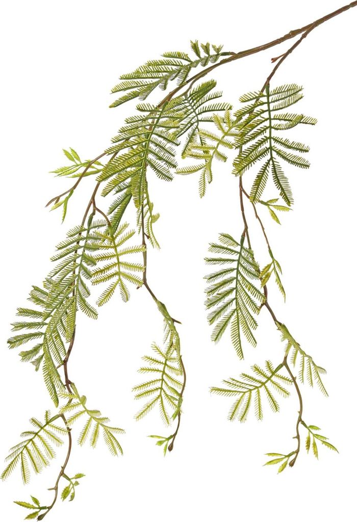 artplants.de Kunst Mimosenzweig Elpida, grün, 110cm - Kunstzweig Mimose