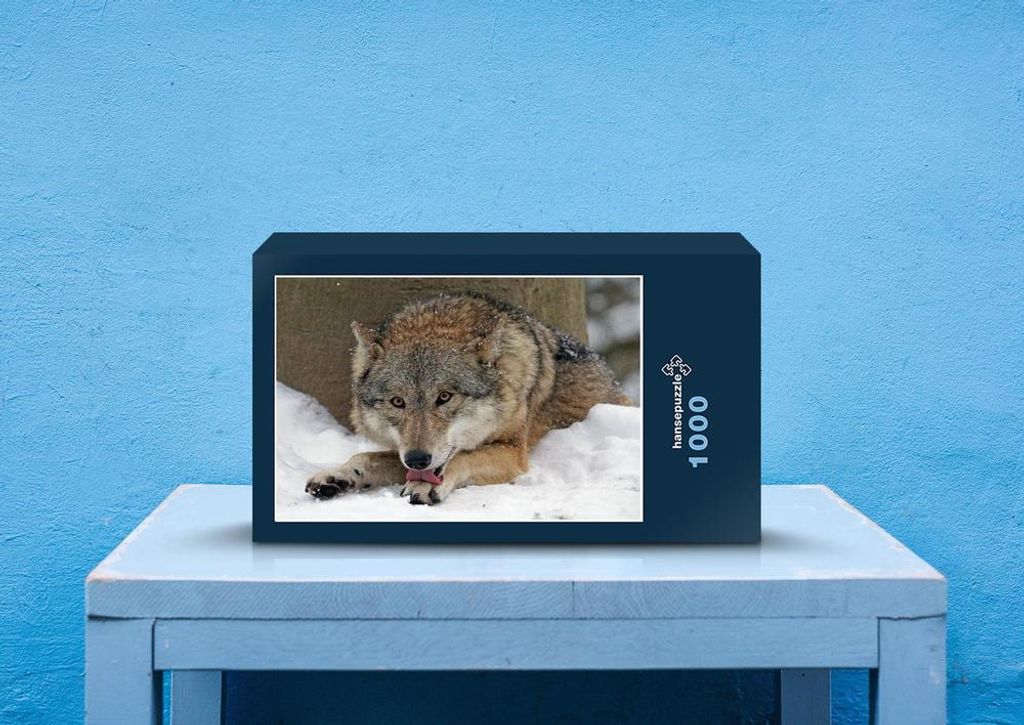 hansepuzzle 29531 - hungriger Wolf Puzzle, 1000 Teile, Tierwelt, 60,0 x 46,0cm mit hochwertiger Aufbewahrung, Kartonbox & Beutel