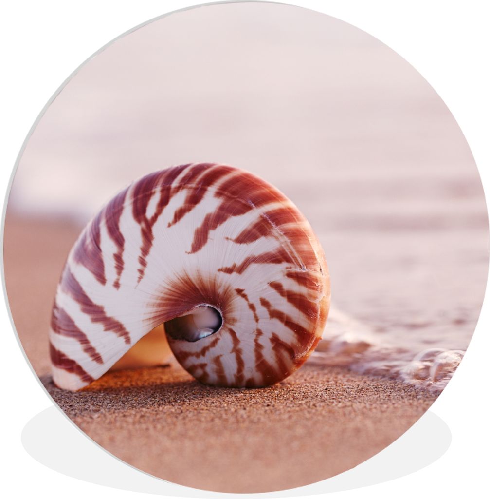 MuchoWow Rundes Wandbild - Runde Bilder Muschel - Strand - Meer - Sand Ø 90 cm Kreis Wanddekoration Kunststoff - Wandkreis - Wandschmuck - Wand-...