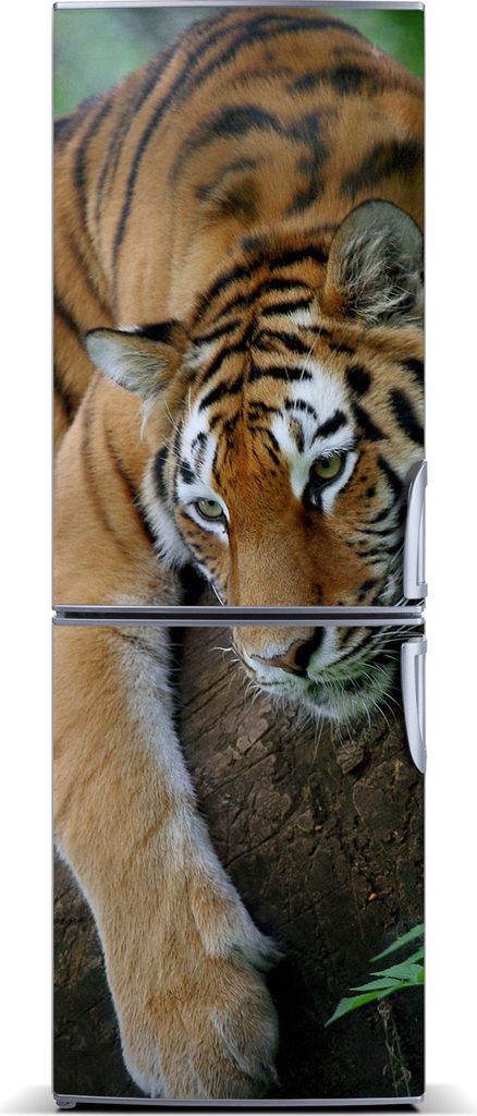 Tulup Kühlschrankdekoration - Magnetmatte - 60 cm x 180 cm - Magnet auf dem Kühlschrank - Tiger Auf Einem Baum