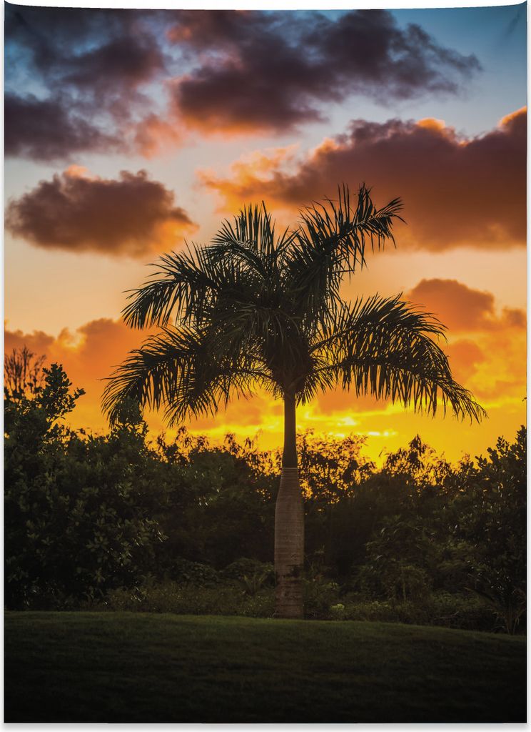 Abakuhaus Tropisch Wandteppich, Exotischer Baum bei Sonnenuntergang aus Weiches Mikrofaser Stoff Kein Verblassen Klare Farben Waschbar, 110 x 150 c...