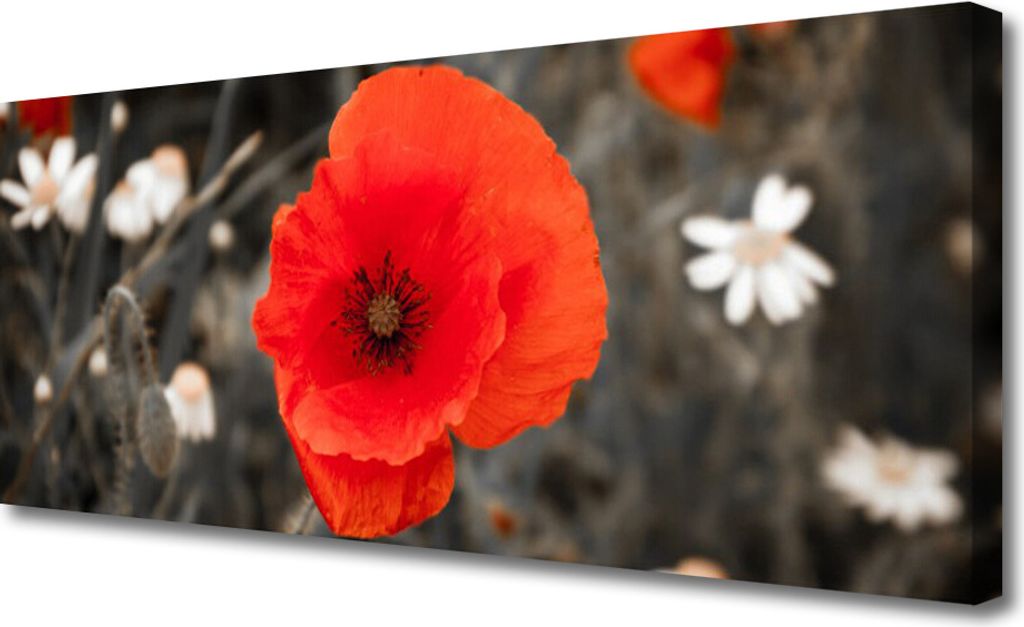Tulup Leinwand-Bilder 125x50 Wandbild Canvas Kunstdruck Blume Pflanzen