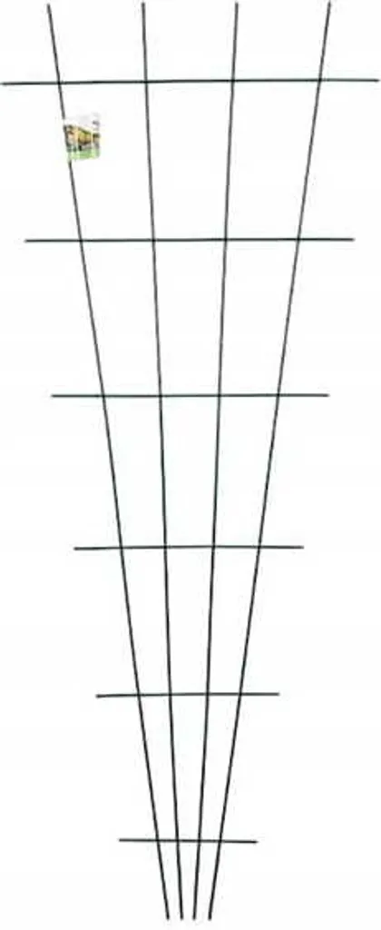 Treillis de jardin en éventail 150x60cm pour rosiers et fleurs de mur