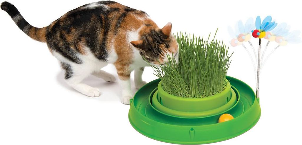 Catit Play 'n Scratch | Ciotola per gatti con erba | 4 x 36 Immagine del prodotto 