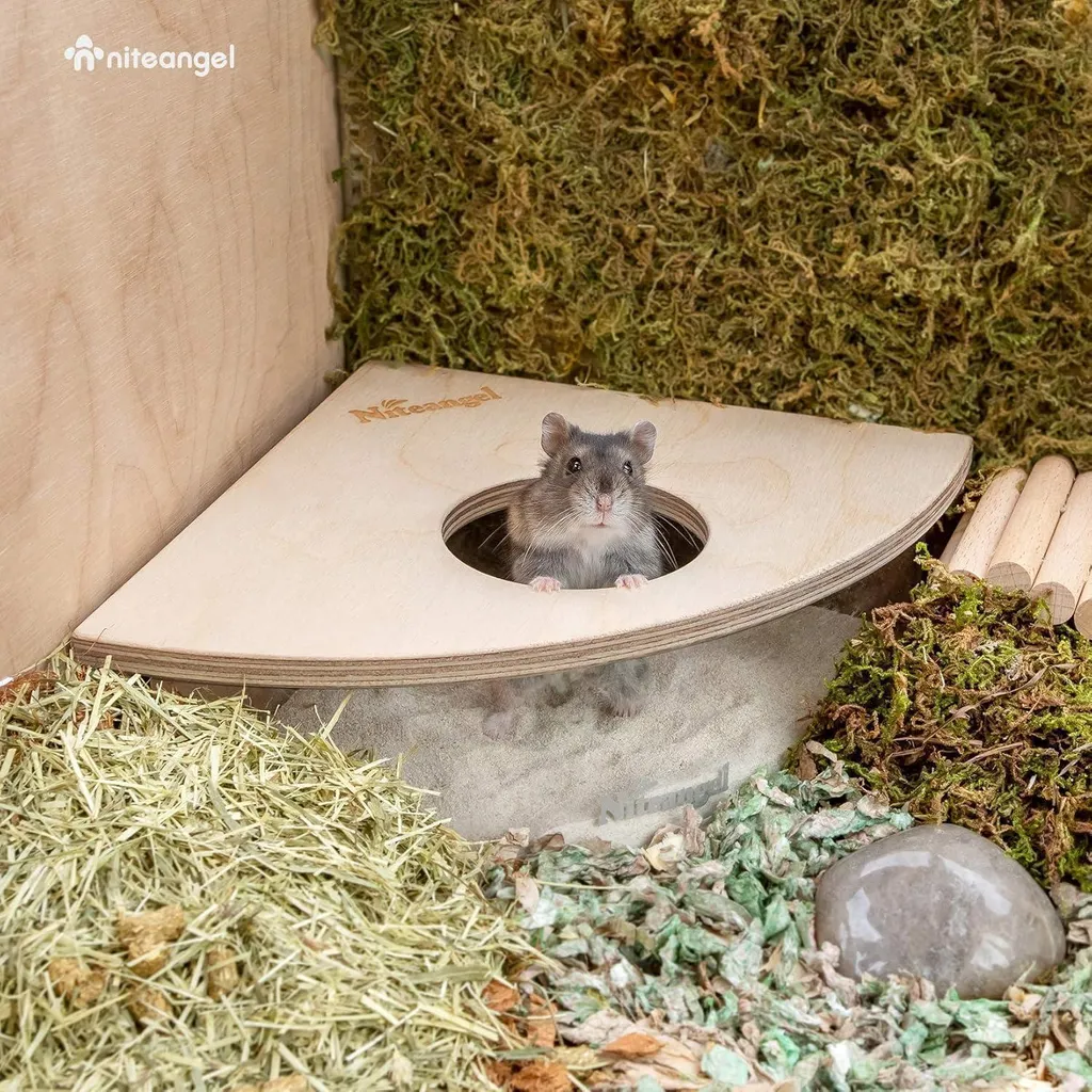 Baignoire à sable pour hamster et souris en acrylique transparent L