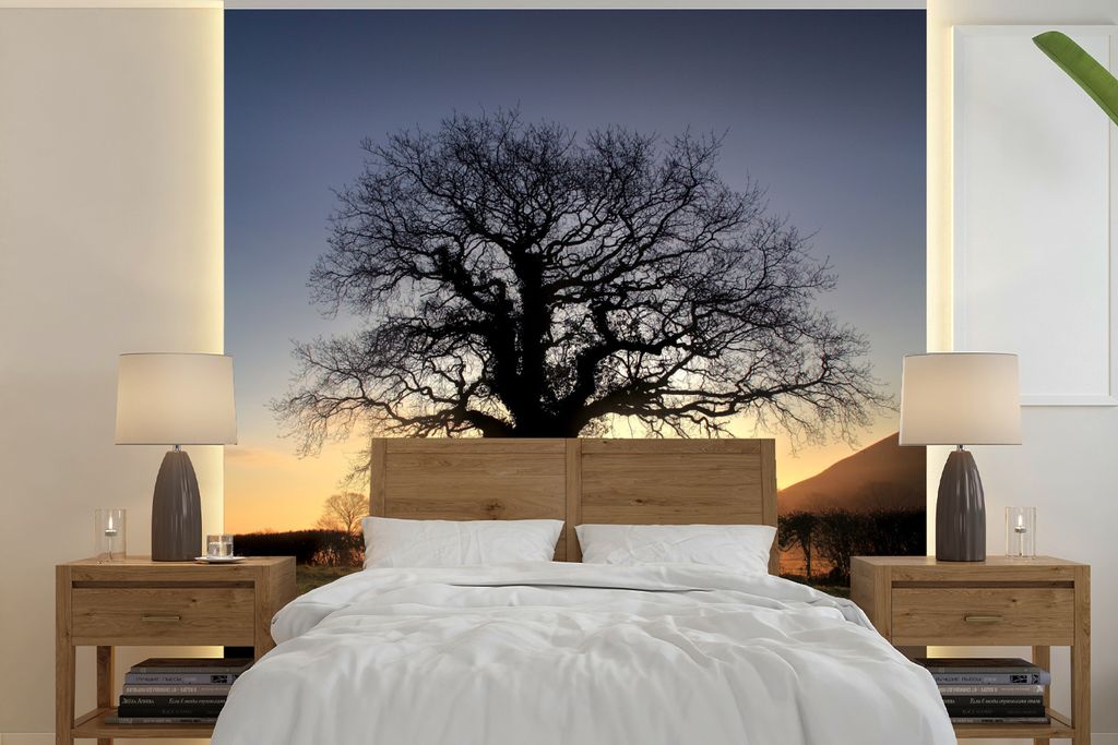 MuchoWow Fototapete für Wohnzimmer oder Schlafzimmer Wandtapete Vinyl Motivtapete Sonnenuntergang hinter einer alten Eiche - 300x300 cm - Wandde...