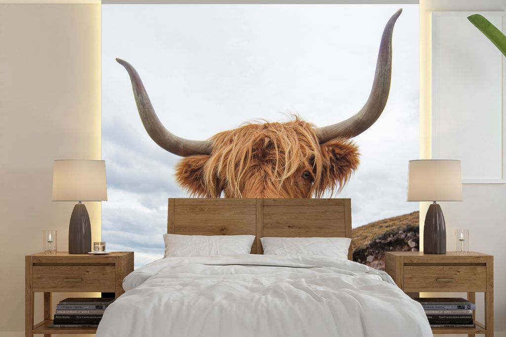 MuchoWow Fototapete für Wohnzimmer oder Schlafzimmer Wandtapete Vinyl Motivtapete Schottischer Highlander - Hörner - Berg - 280x280 cm - Hinter...