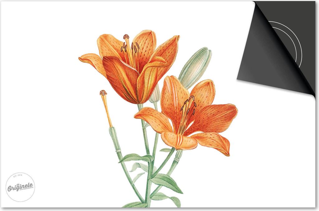 Induktionsschutz 77x51 - abdeckplatte Induktion matt- Dietrix Kochfeldschutz- Base - Botanical - Orangefarbene Tulpe